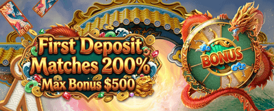 Premium Slots and High Payouts